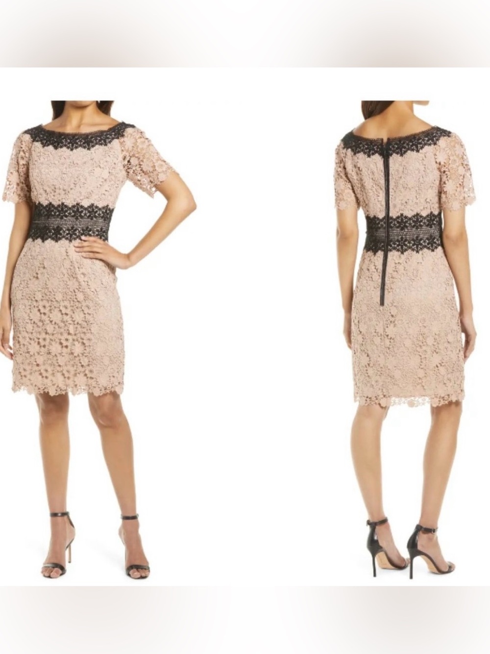 NWT SHANI Colorblock Lace Sheath Dress Champagne 10